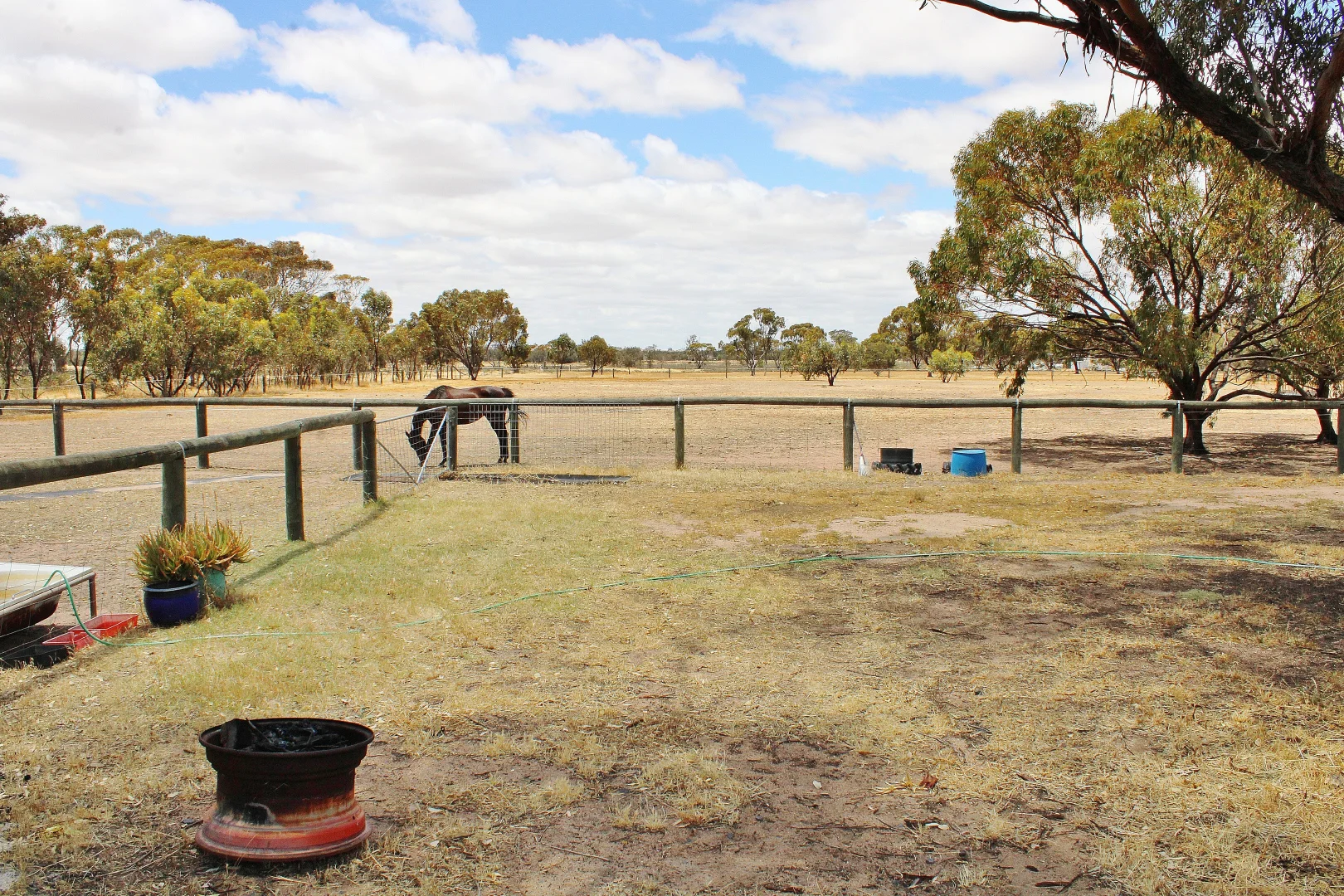Additional image 31 of 808 Beaufort Street, Wagin WA 6315