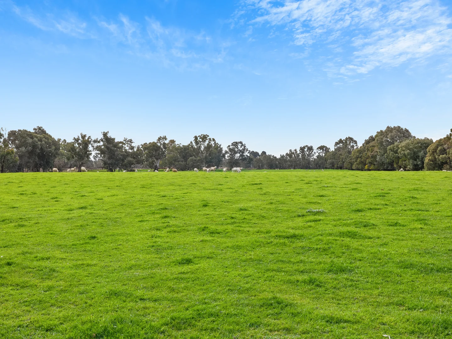 Additional image 21 of 2269 Snow Road, Markwood VIC 3678