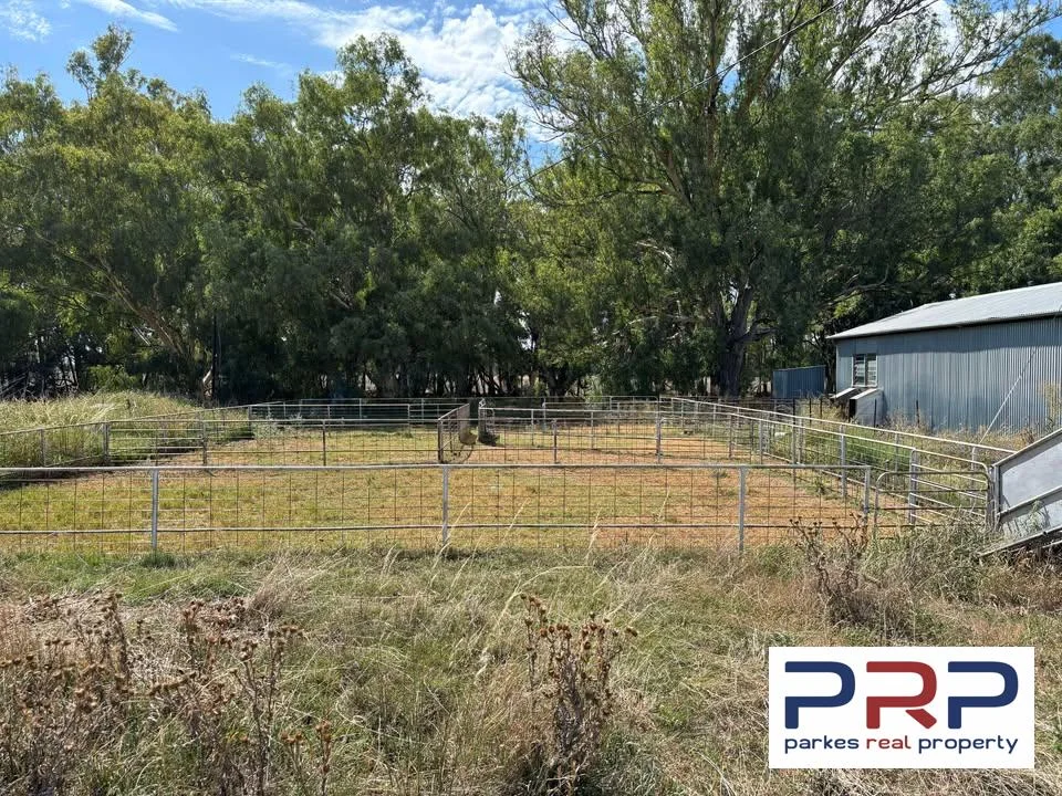 Additional image 5 of 4194 Lachlan Valley Way, Warroo NSW 2871