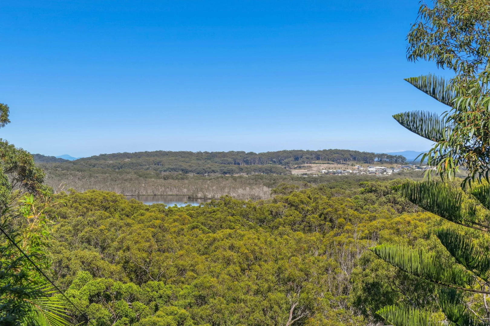 Additional image 26 of 80 Cardwell Street, Arakoon NSW 2431