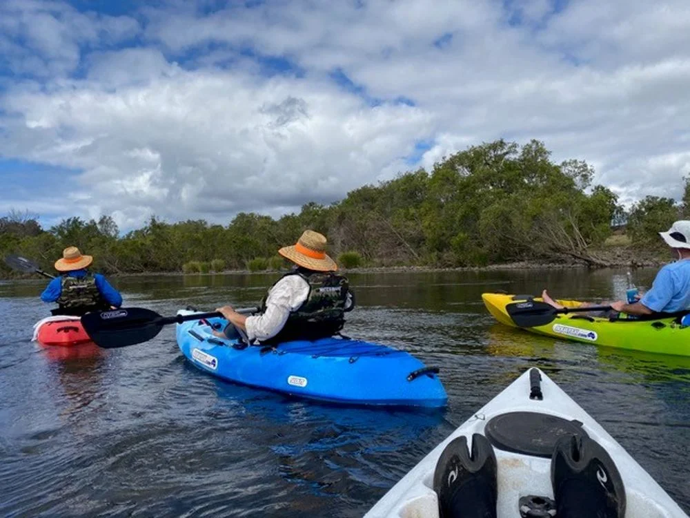 Additional image 13 of 800 Toms Gully Rd, Hickeys Creek NSW 2440