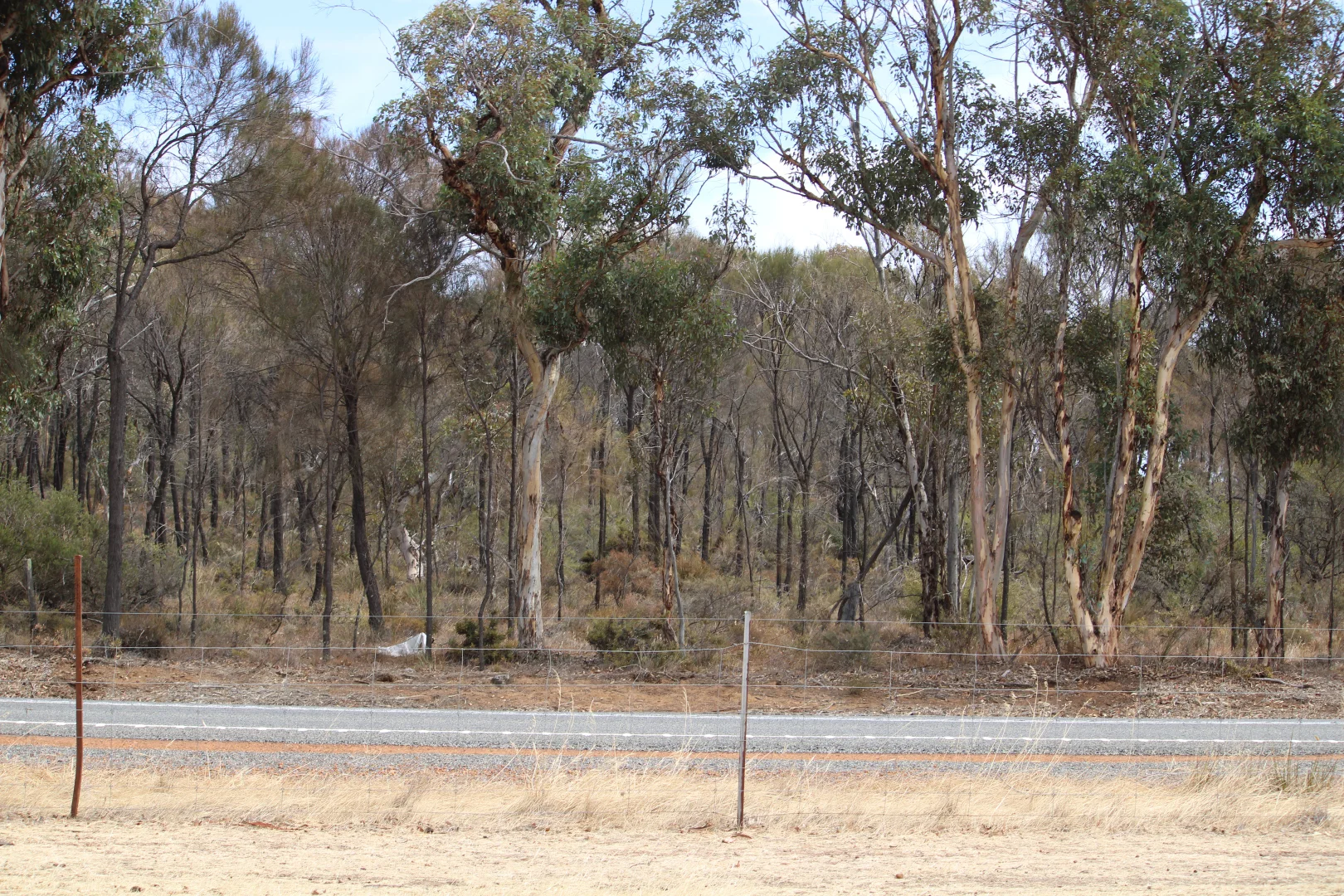 Additional image 7 of 191 Great Southern Highway, Woodanilling WA 6316