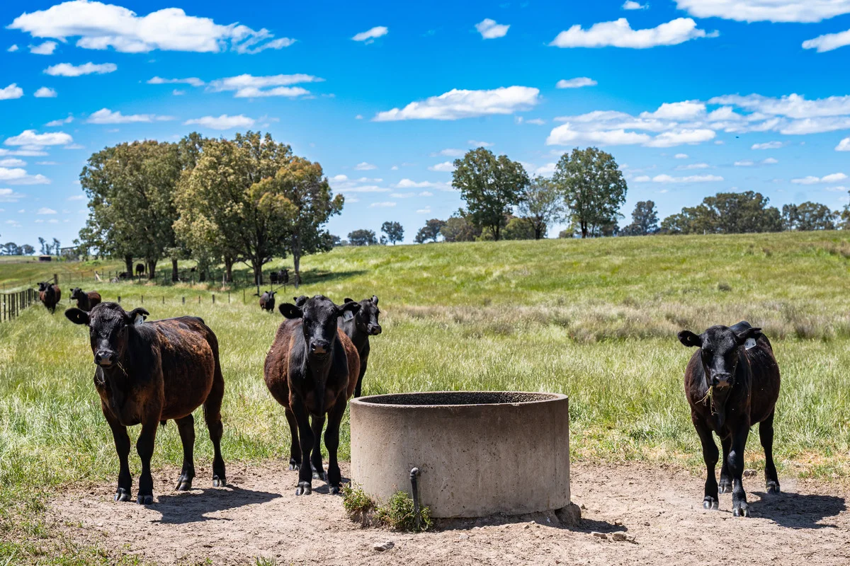 Additional image 27 of 672 Lima East Road, Lima East VIC 3673