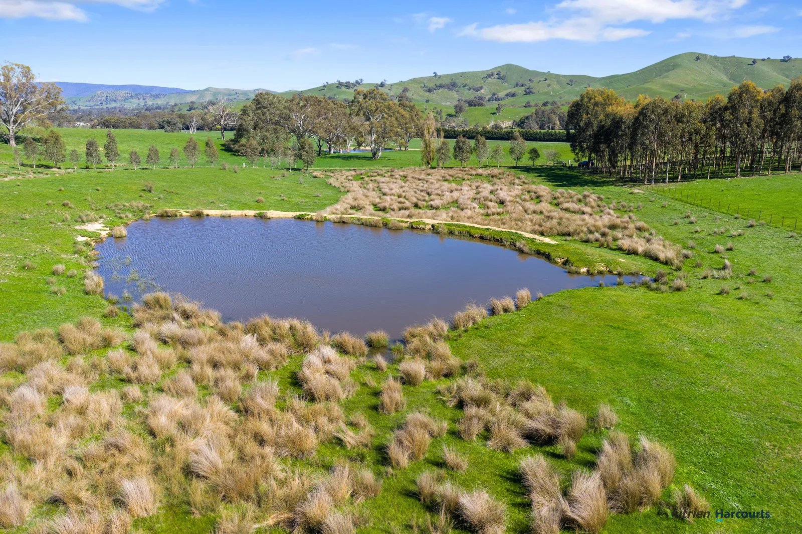 Additional image 12 of 53 Halls Outlet Road, Alexandra VIC 3714