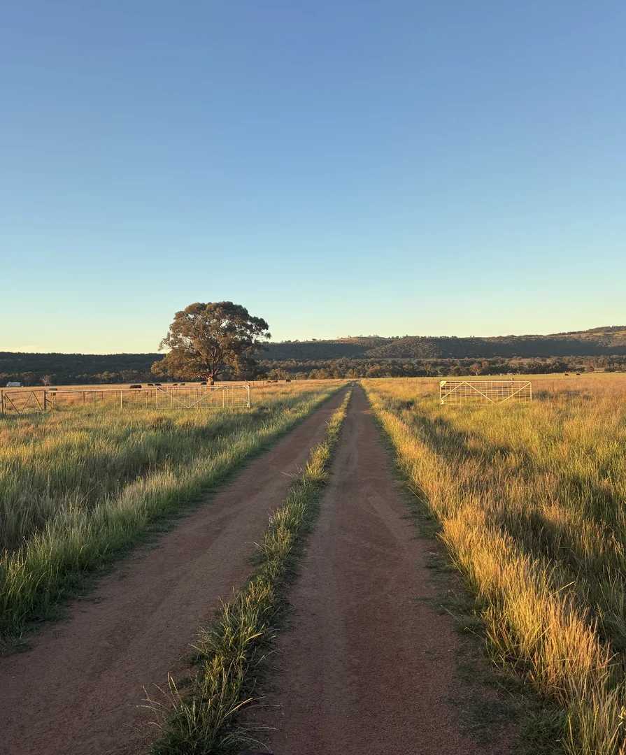 Additional image 19 of 2824 Neilrex Road, Neilrex NSW 2831