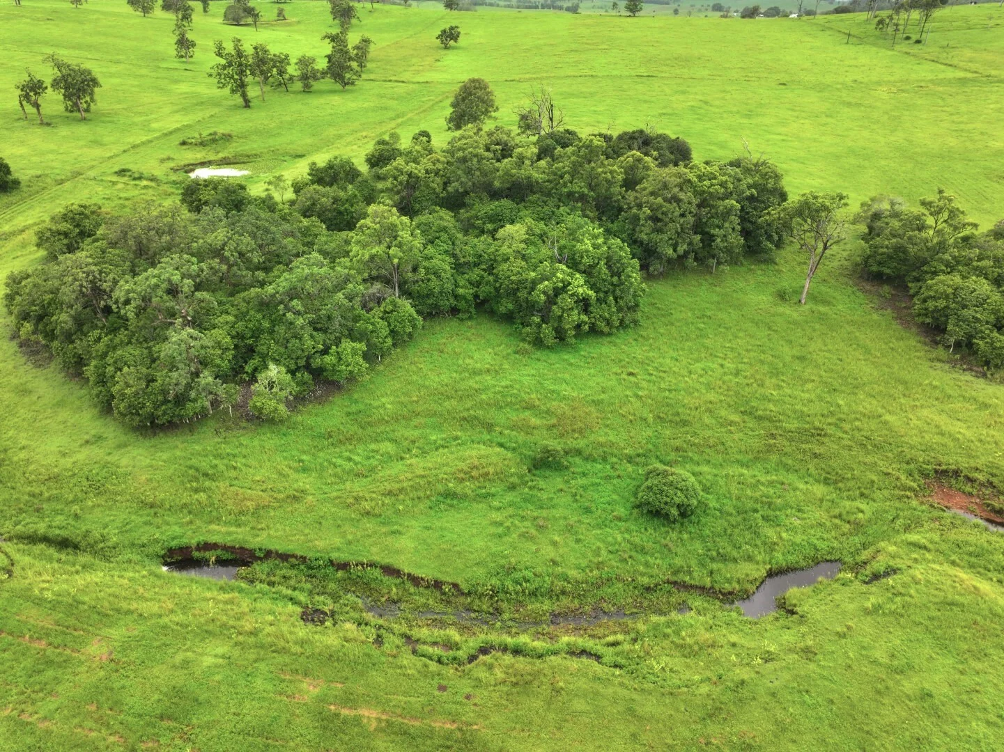 Additional image 6 of 284 Upper Stratheden Road, Kyogle NSW 2474