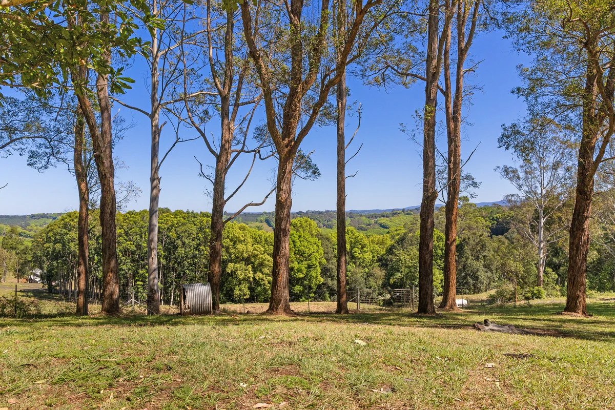 Additional image 28 of 121 Binna Burra Road, Binna Burra NSW 2479