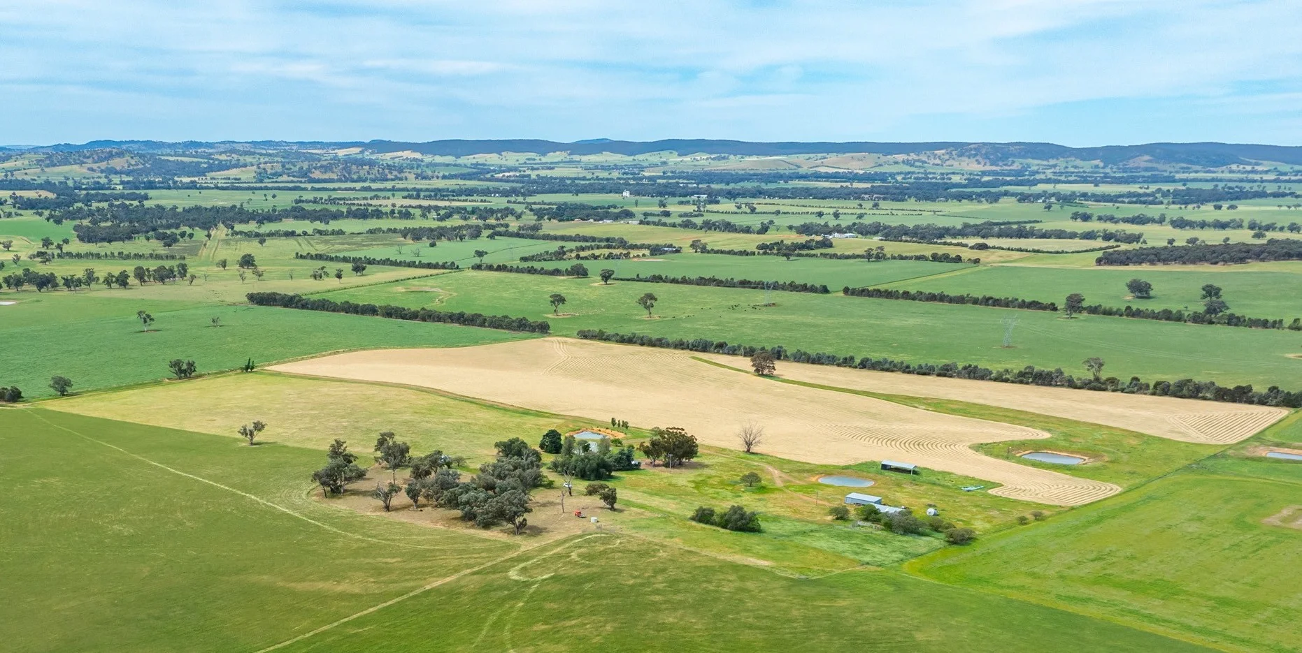 Additional image 2 of 1470 Yerong Creek Mangoplah Road, Mangoplah NSW 2652