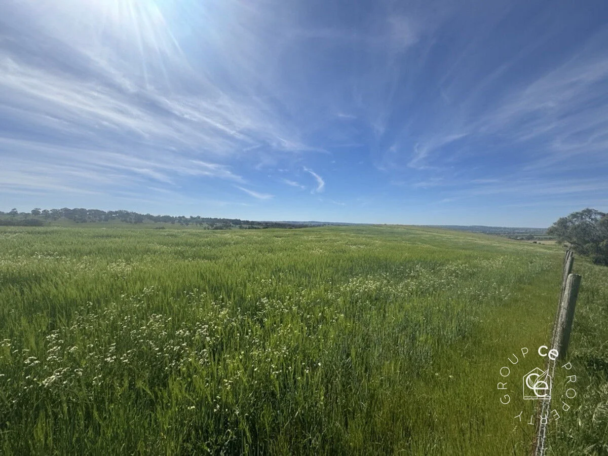 Additional image 8 of Lot 631 Burns Road, Mount Pleasant SA 5235