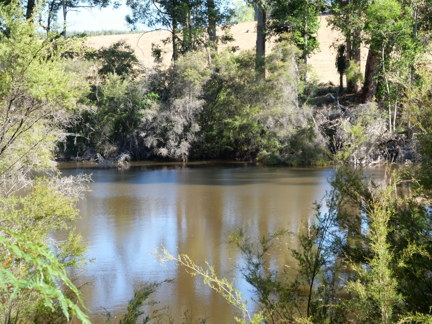 61 Hayes Road, East Nannup WA 6275