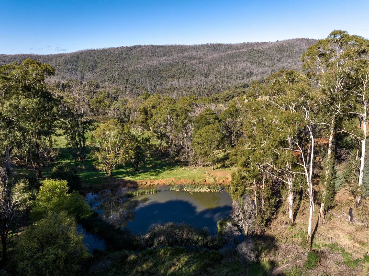 Additional image 11 of 'Gilmore Braes' 1 Forsters Road, Batlow NSW 2730