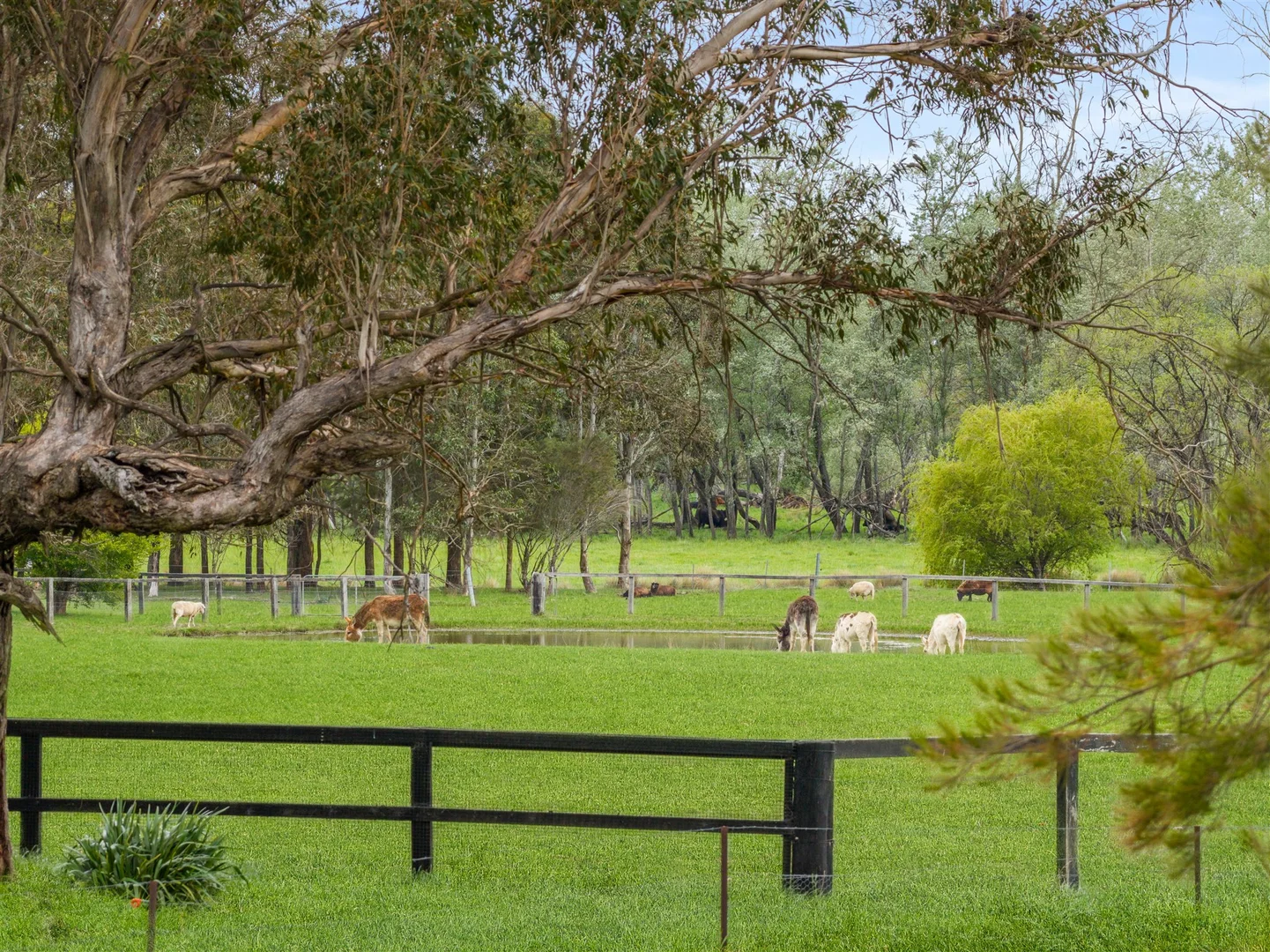 Additional image 34 of 43A Eridge Park Road, Burradoo NSW 2576