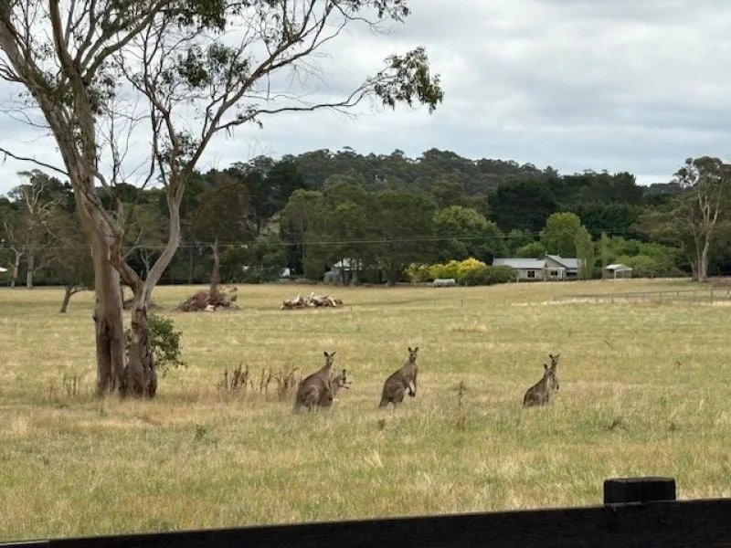 Additional image 15 of 80 Ferndale Road, Bundanoon NSW 2578