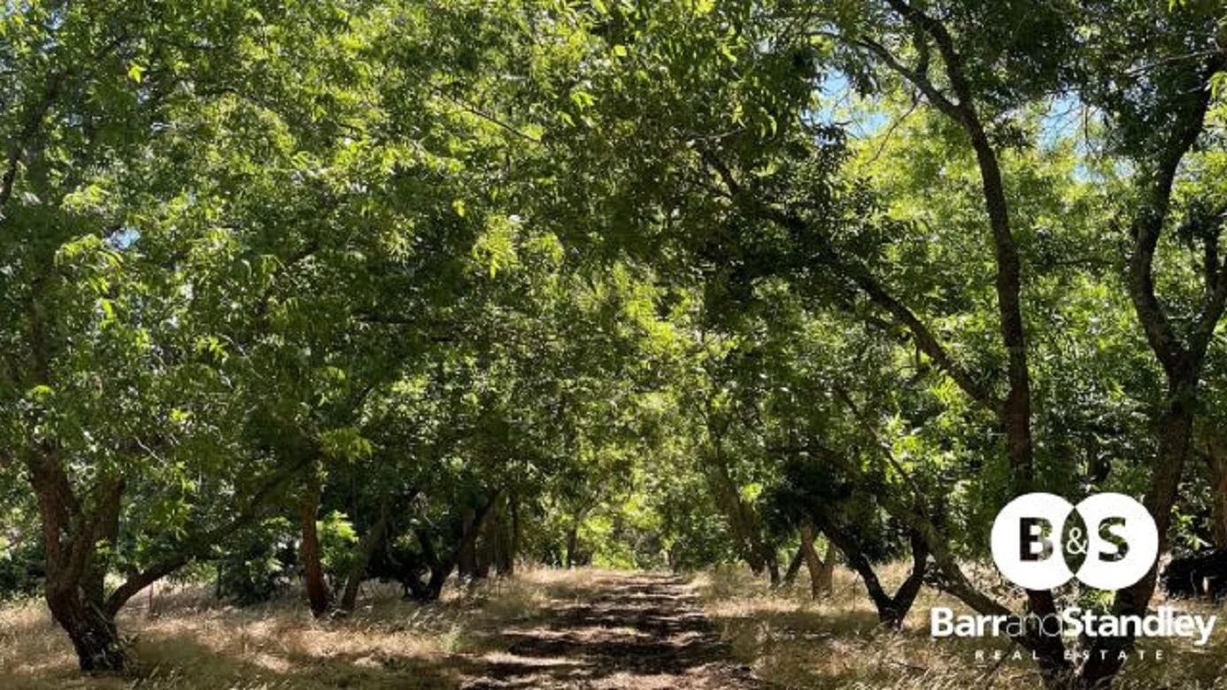 Additional image 8 of 285 Anderson Rd (THOMSON BROOK), Kirup WA 6251