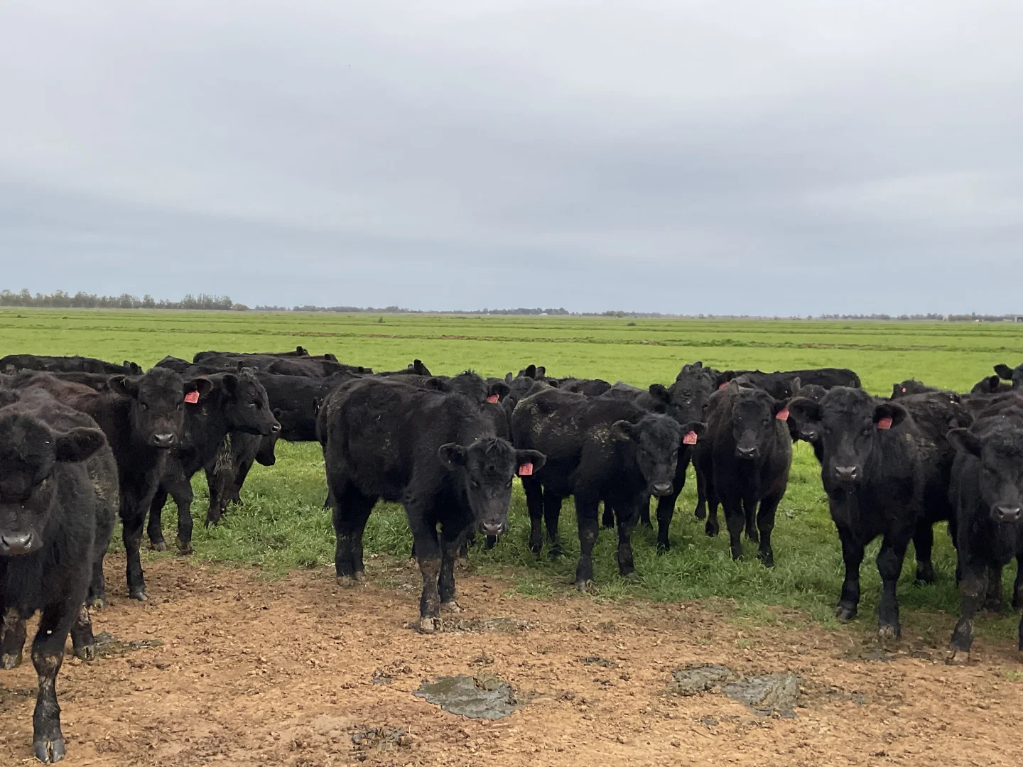 Additional image 7 of Part Farm 1428 Glenn Road, Murrami NSW 2705