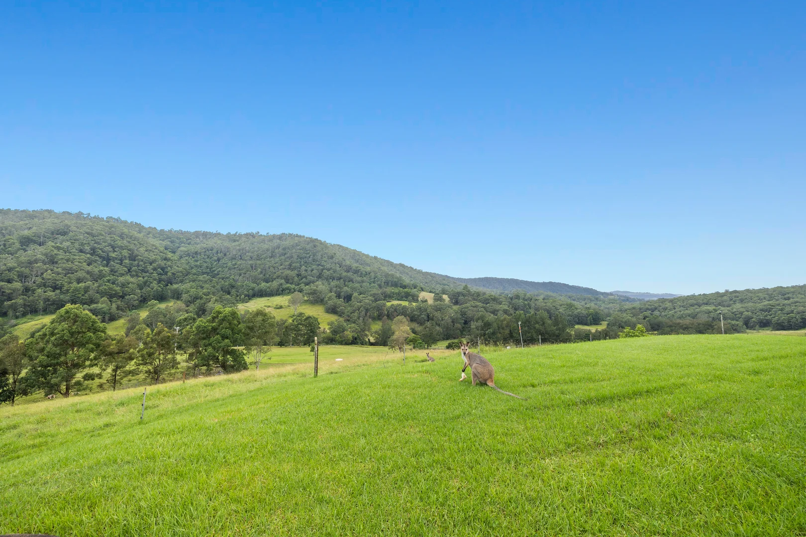 Additional image 16 of 473 Smiths Creek Road, Afterlee NSW 2474