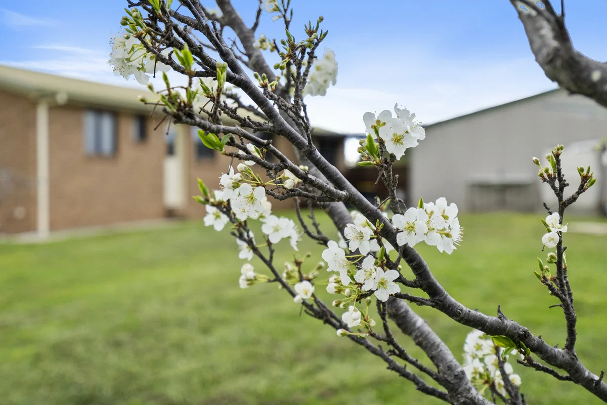Additional image 21 of 4 Burgess Street, Swansea TAS 7190