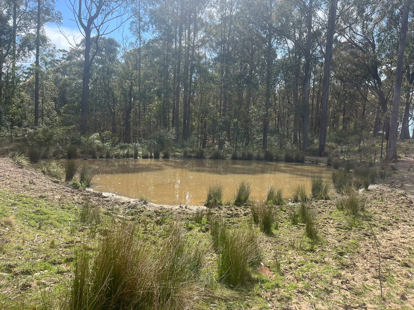 Additional image 12 of 638 Tops Road, Nowendoc NSW 2354