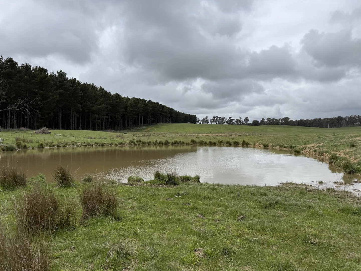 Additional image 11 of Lot 13 Rosewood Hills Road, Tumbarumba NSW 2653