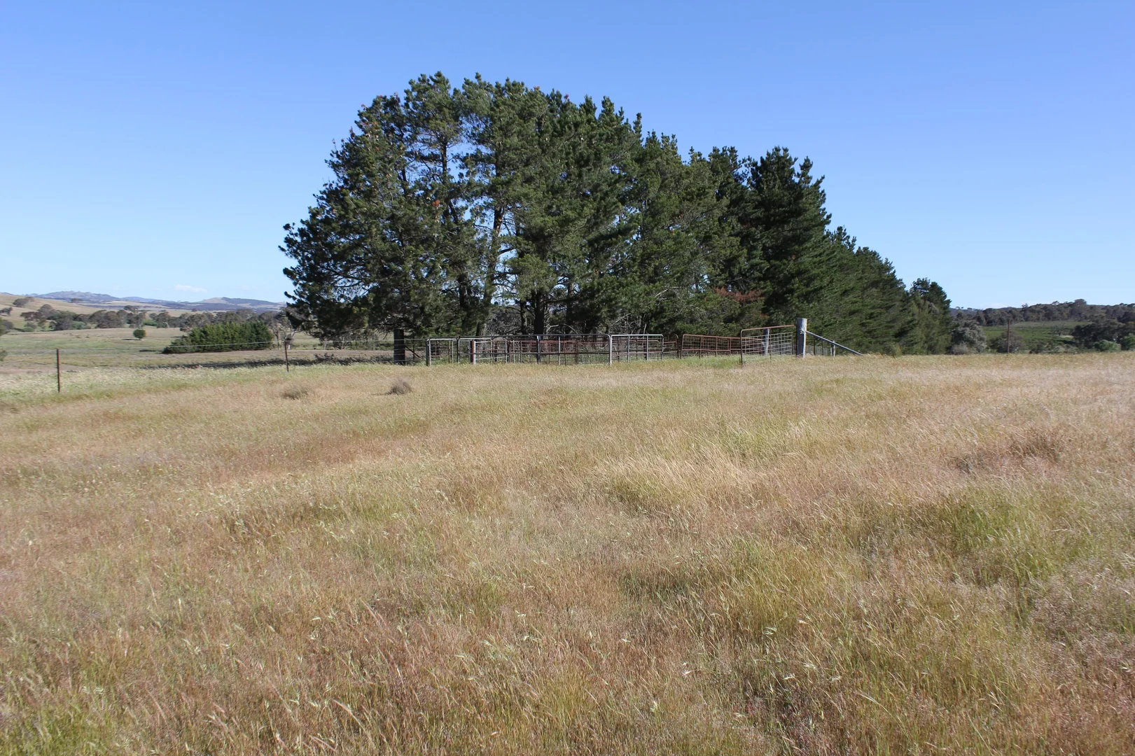 Additional image 11 of 48 & 98/413 Flacknell Creek Road, Gunning NSW 2581