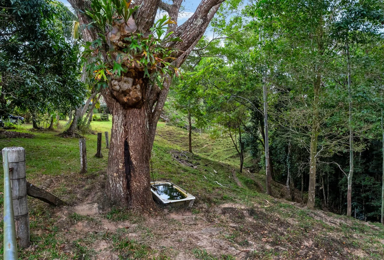 Additional image 18 of Speewah QLD 4881