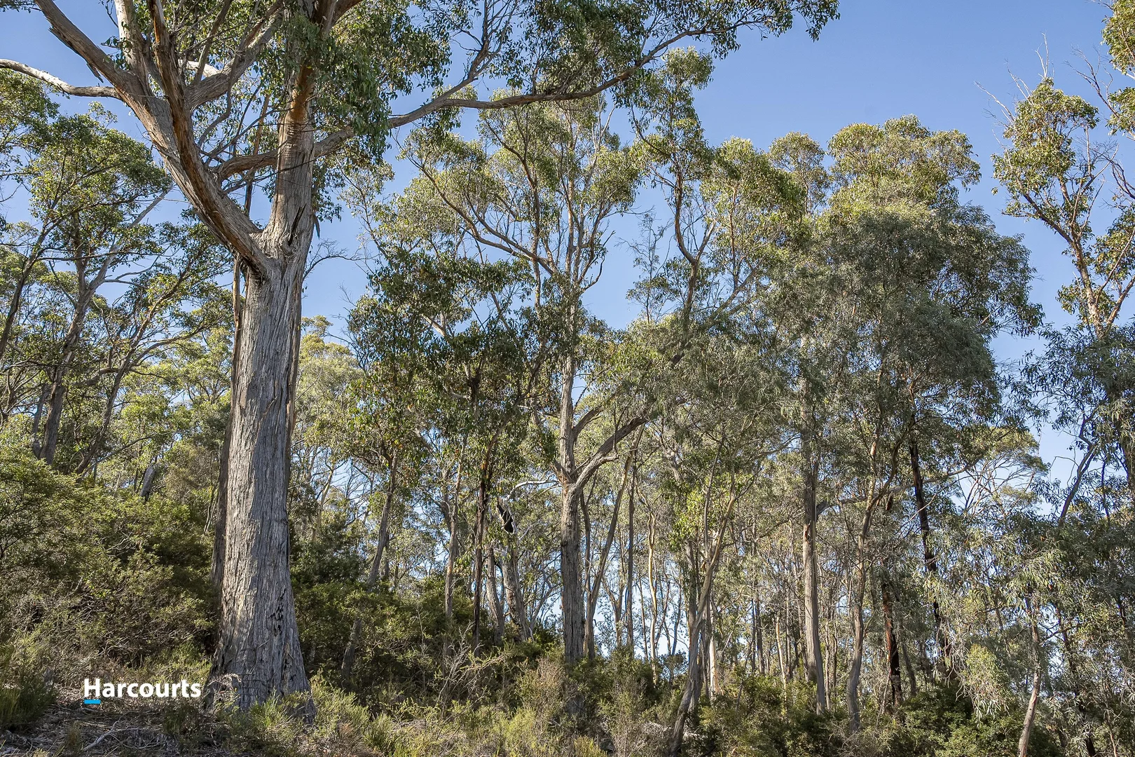 Additional image 13 of 273 Abels Bay Road, Abels Bay TAS 7112