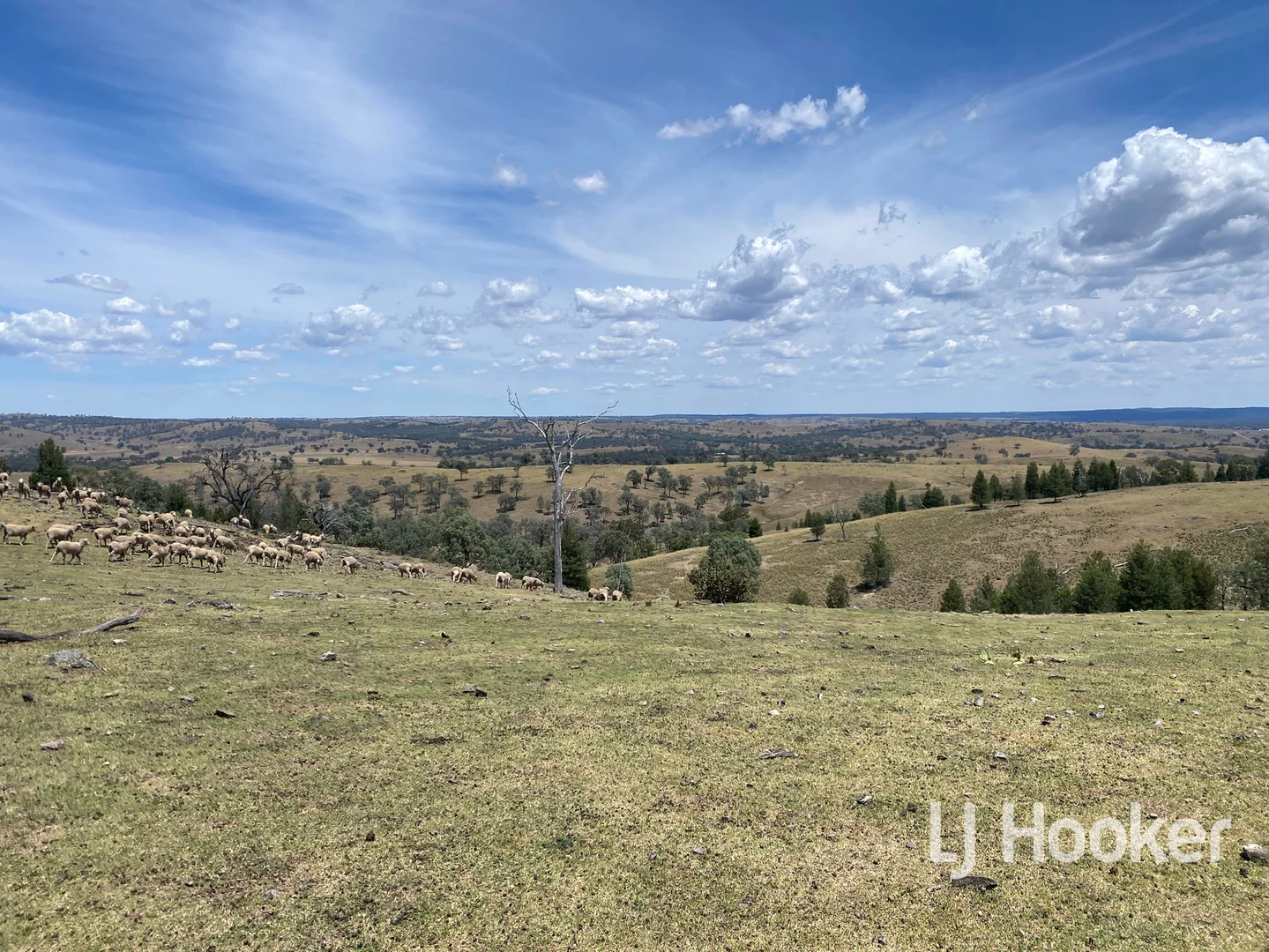 Additional image 14 of 1198 Bukkulla Road, Inverell NSW 2360