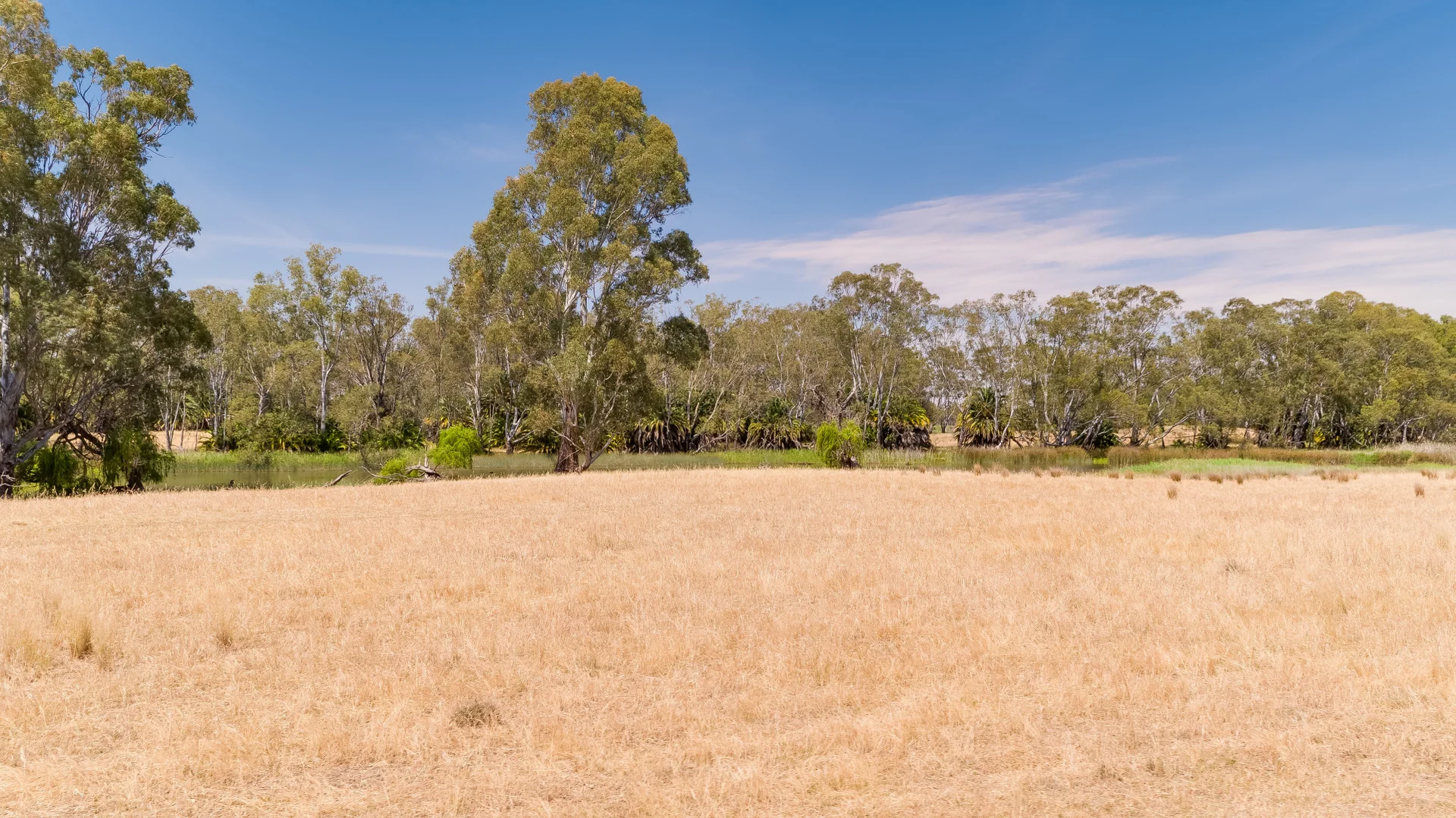 Additional image 10 of 2237 Spring Drive, Collendina NSW 2646