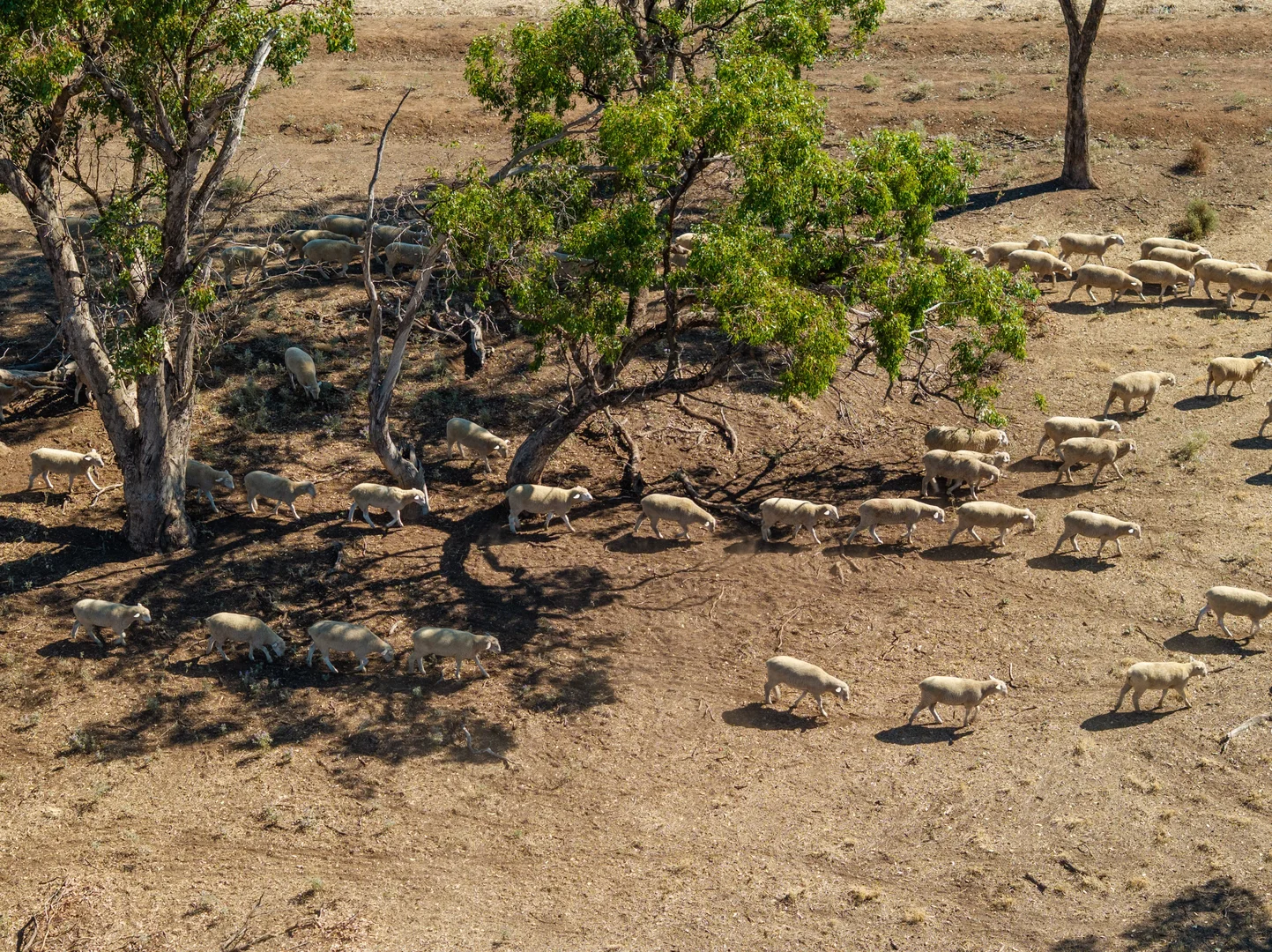 Additional image 10 of 1145 Boundary Road, Murrami NSW 2705