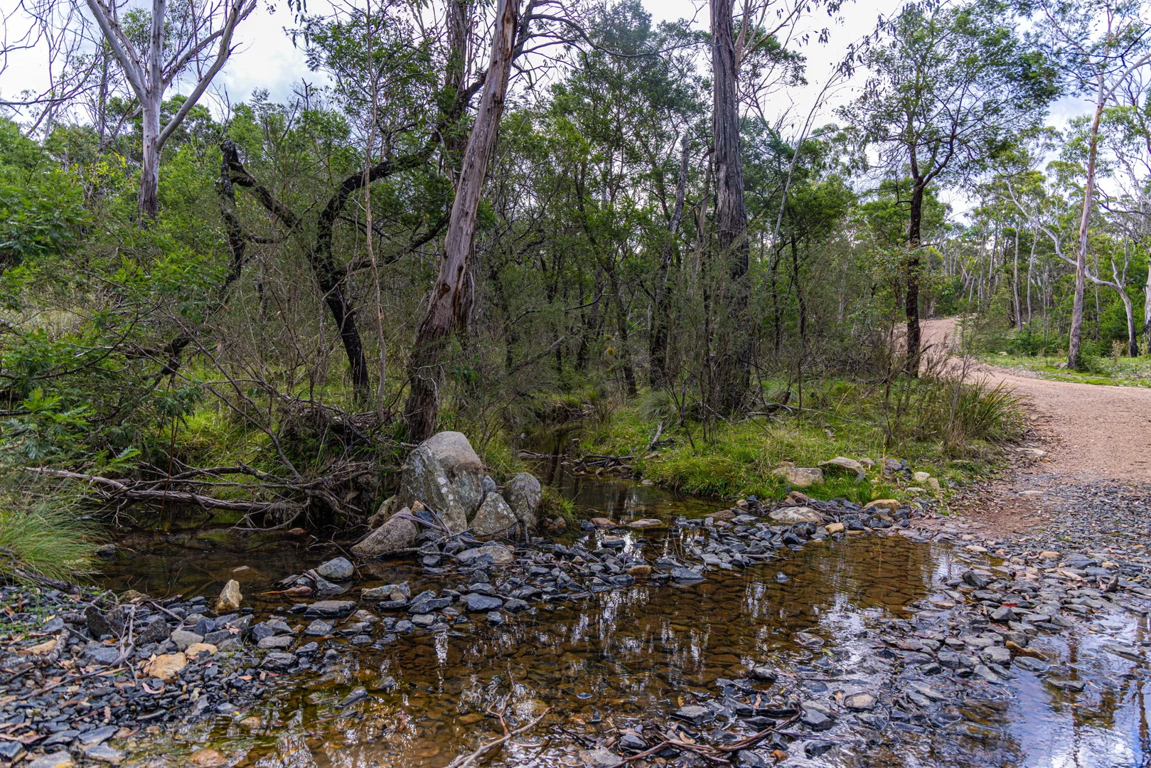 Additional image 13 of 153 Murumba Rd,, Bombay NSW 2622