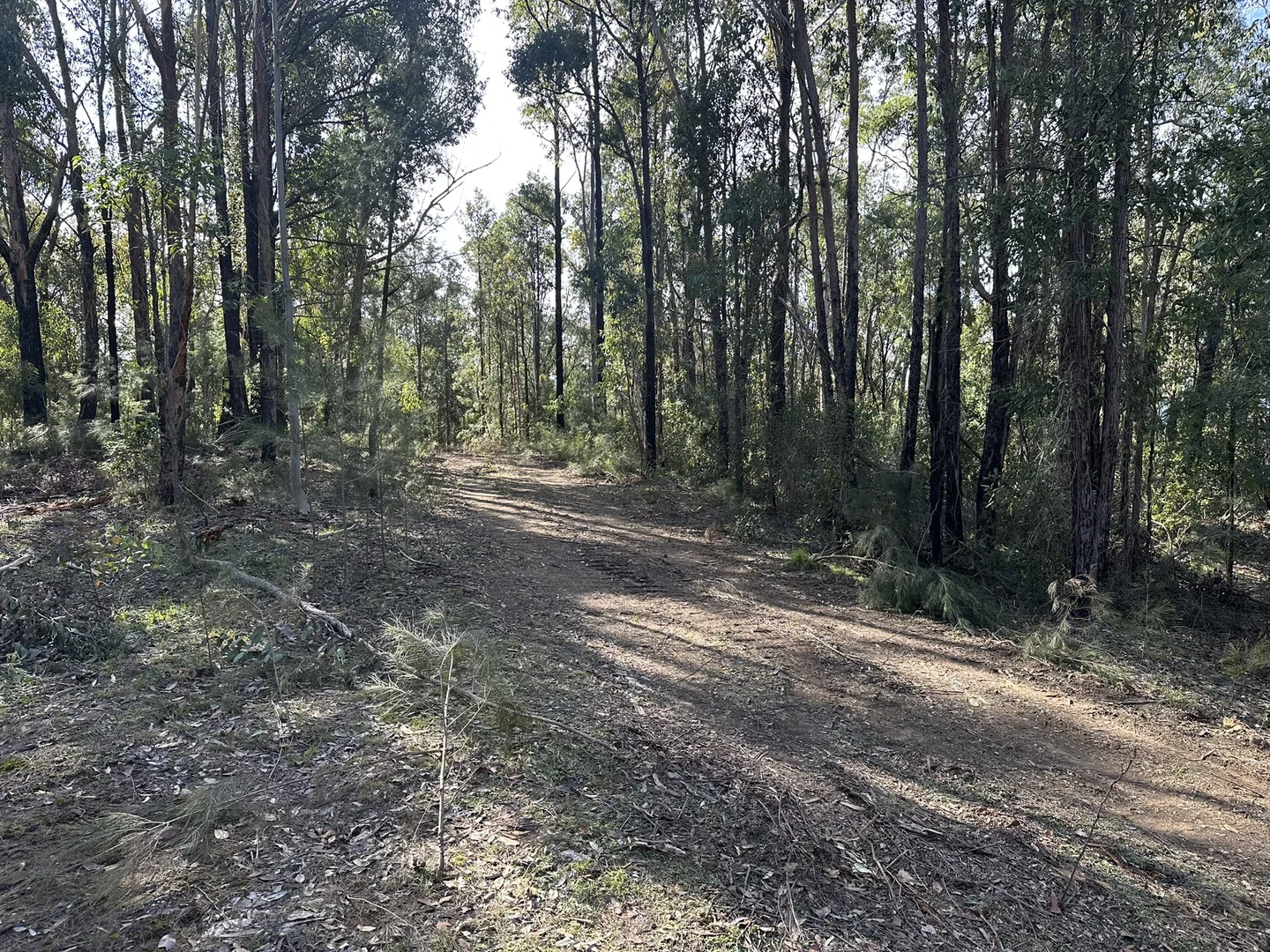 Additional image 9 of 500 Bakers Road, Putty NSW 2330