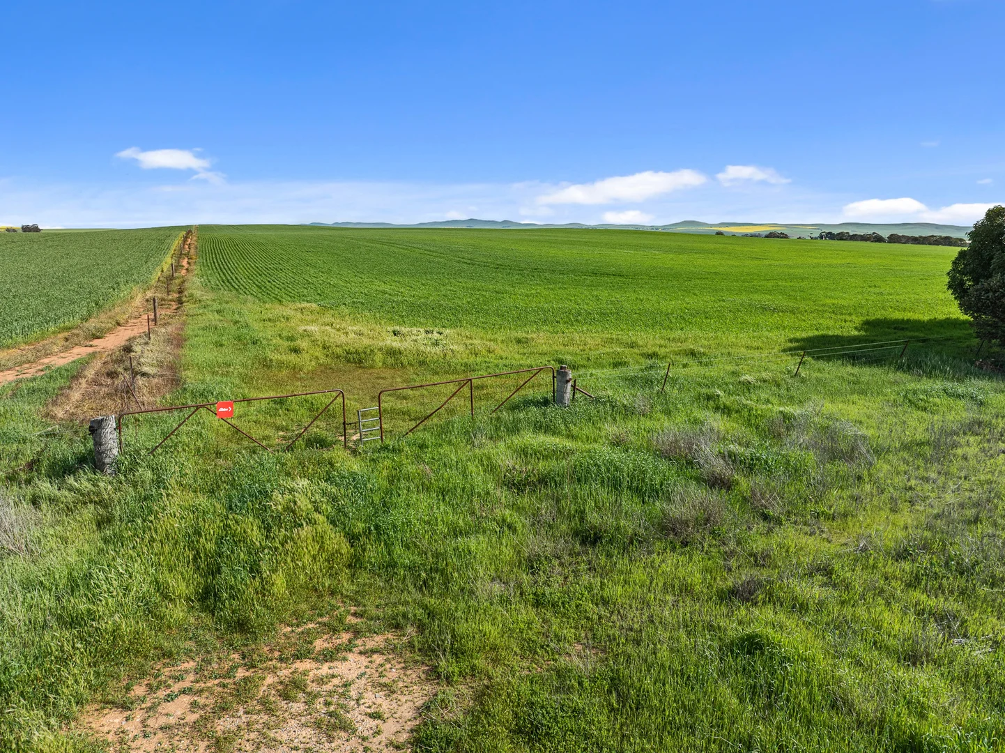 Additional image 14 of 1 Tohls Road, Booborowie SA 5417