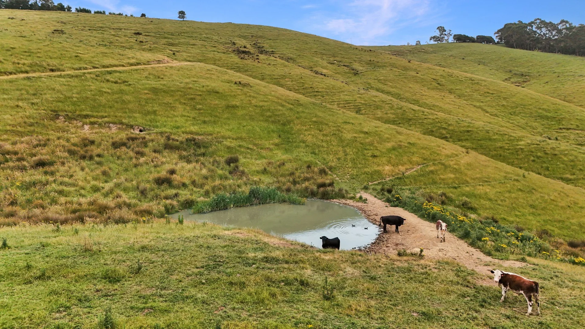 Additional image 5 of 160 Hollins Road, Trida VIC 3953