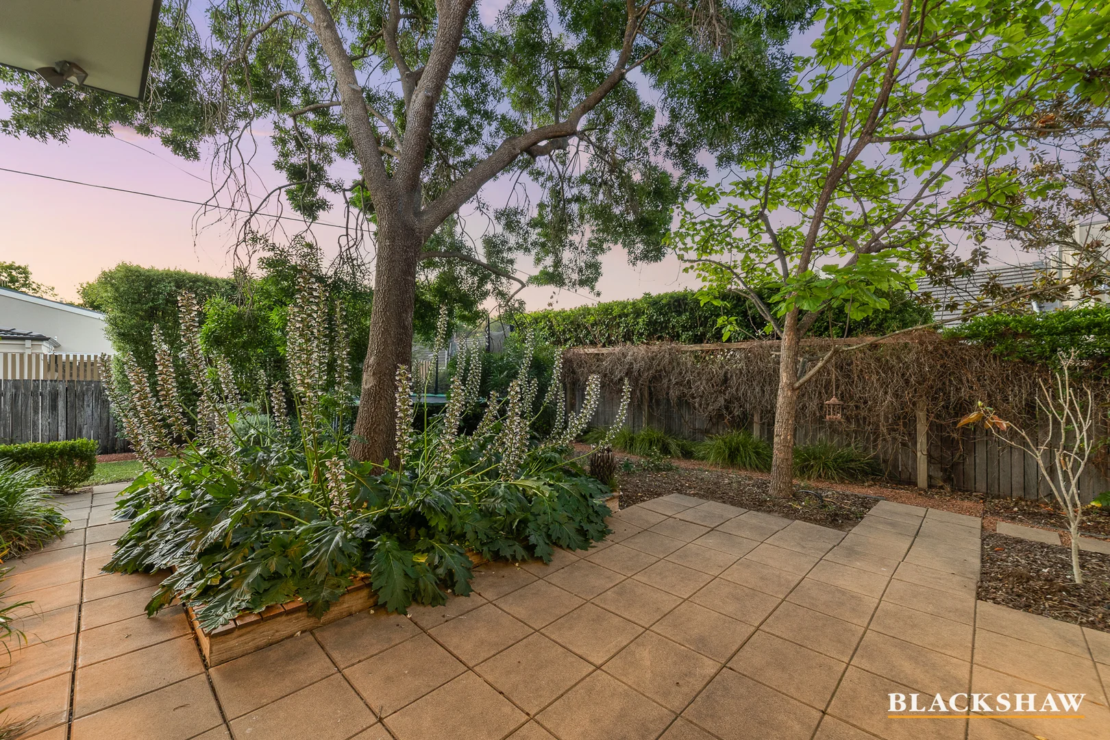 Additional image 16 of 31 Novar Street, Yarralumla ACT 2600