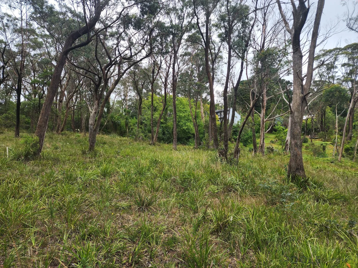 Additional image 8 of 17 Lomandra Place, Katoomba NSW 2780