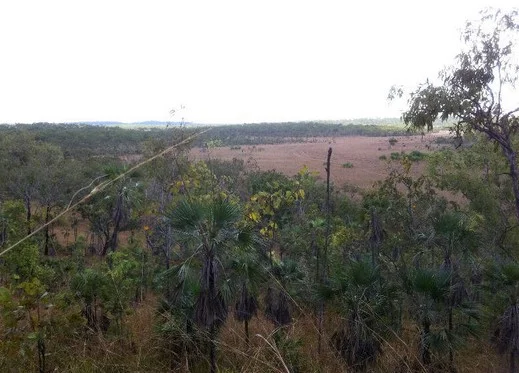 Additional image 20 of Darwin River NT 0841