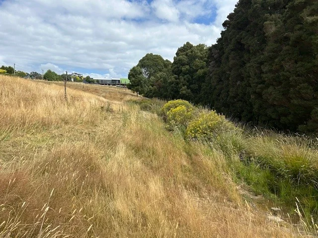 Additional image 4 of 20 Nitida Drive, Scotchtown TAS 7330