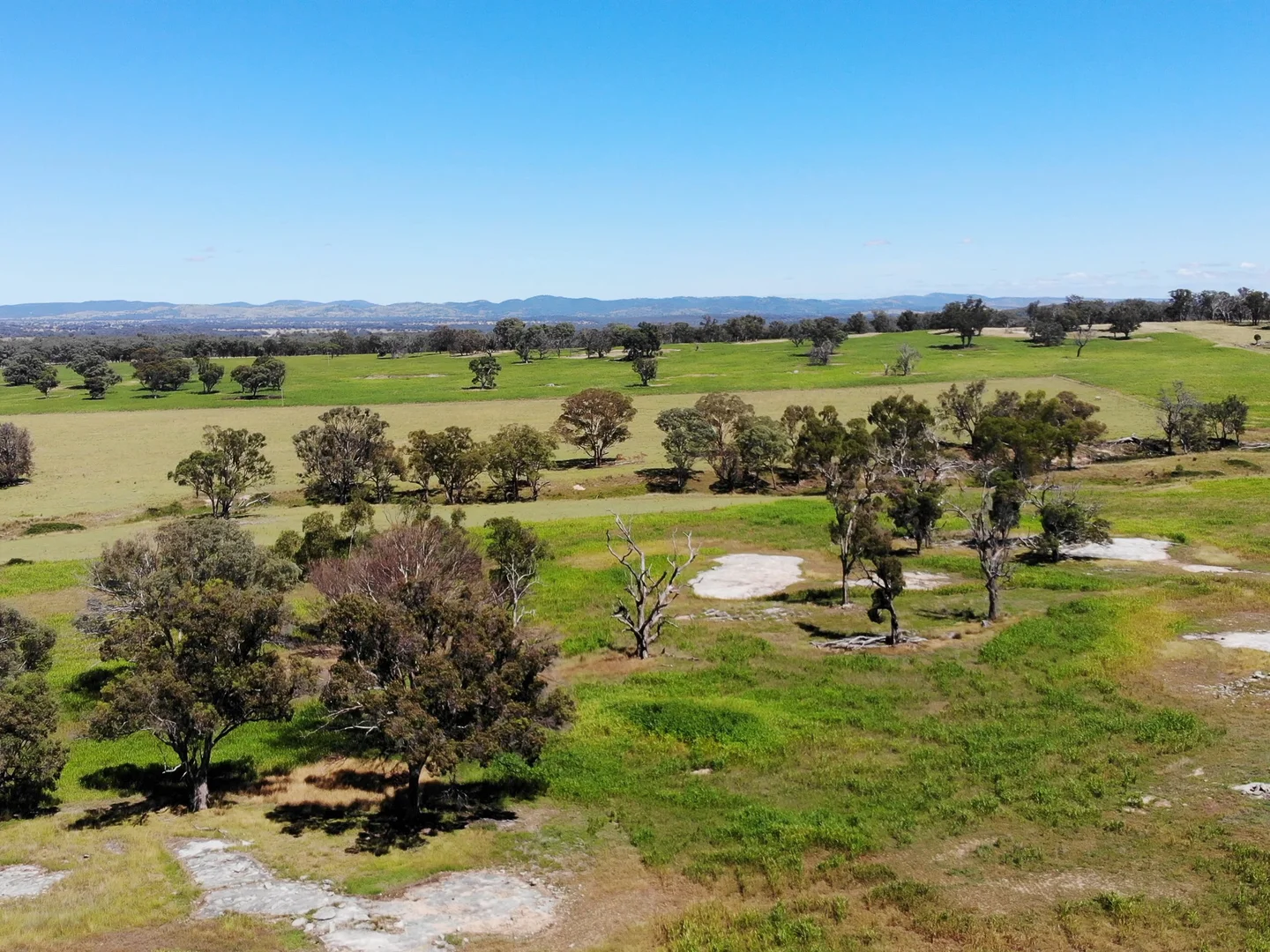 Additional image 13 of 778 Torryburn Road, Yarrowyck NSW 2358