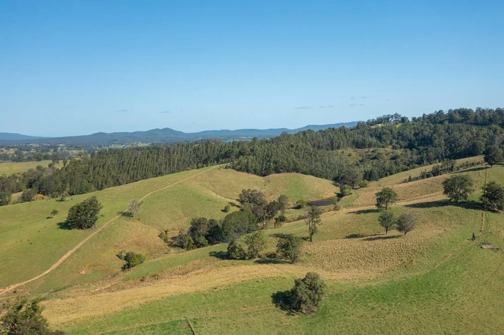 Additional image 23 of 353 Rhones Creek Road, Talarm NSW 2447