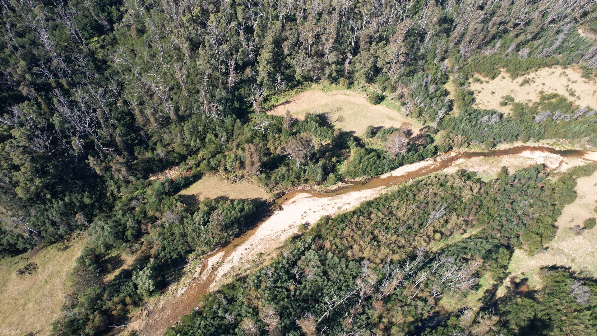 Additional image 35 of 115 Gulph Creek Road, Nerrigundah NSW 2545