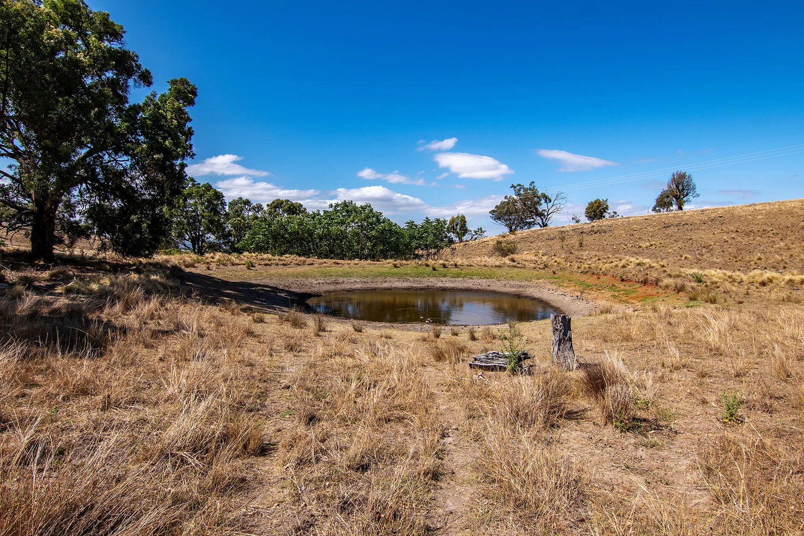 Additional image 4 of 856 Spring Flat Road, Spring Flat NSW 2850