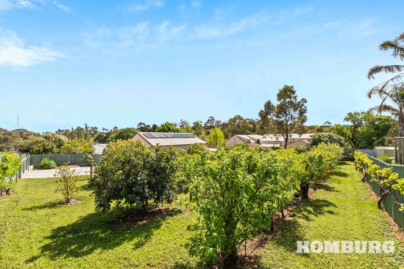 Additional image 25 of 113 Penrice Road, Penrice SA 5353