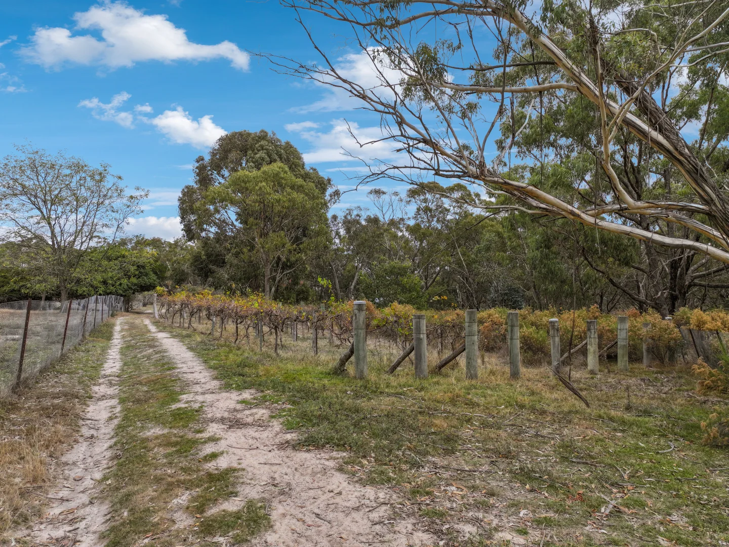 Additional image 26 of Mount Rankin NSW 2795