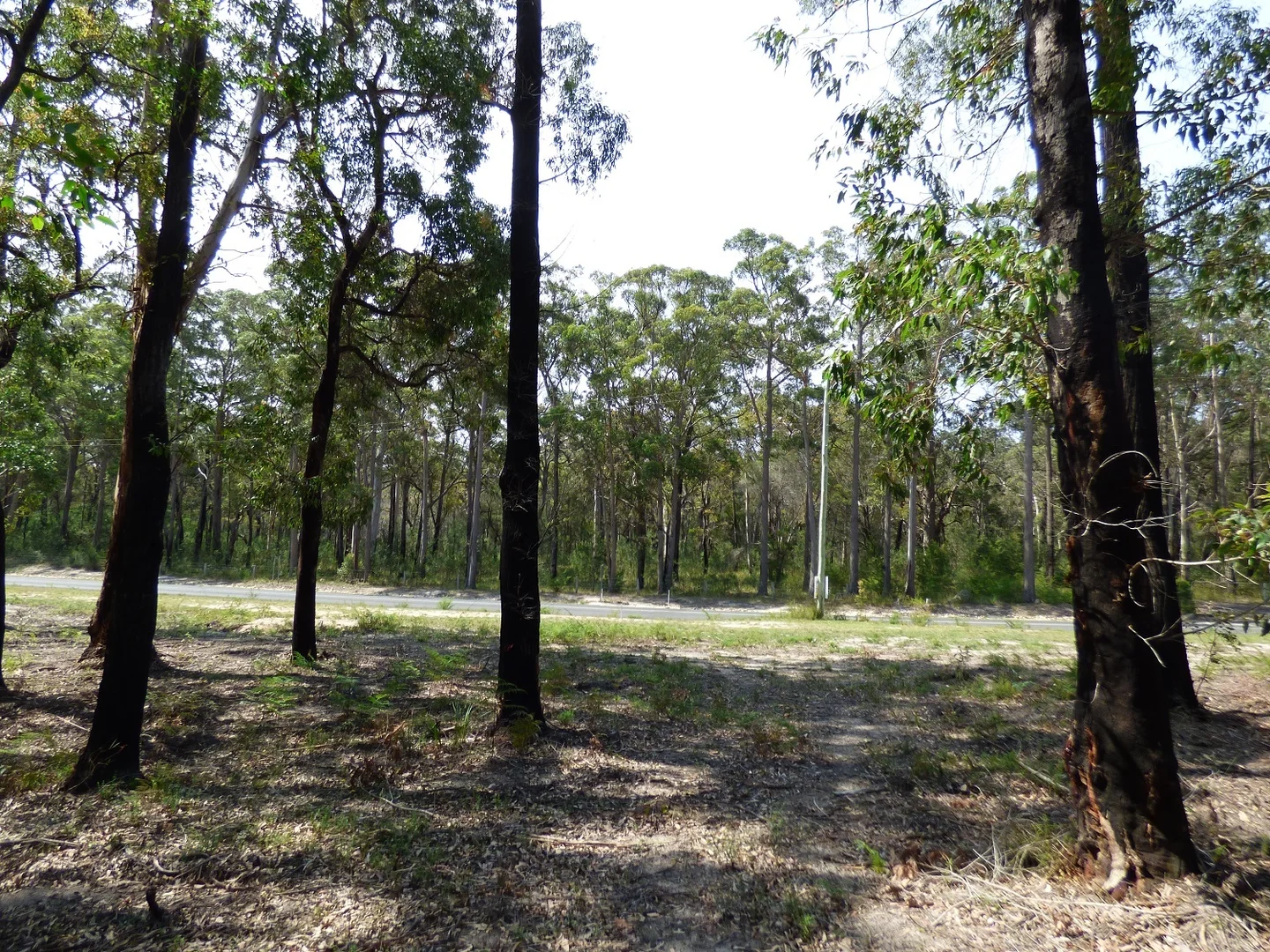 Additional image 8 of 72 Wonboyn Rd, Wonboyn VIA, Eden NSW 2551