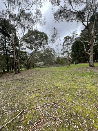 Additional image 4 of 41 Eleventh Avenue, Eden Park VIC 3757