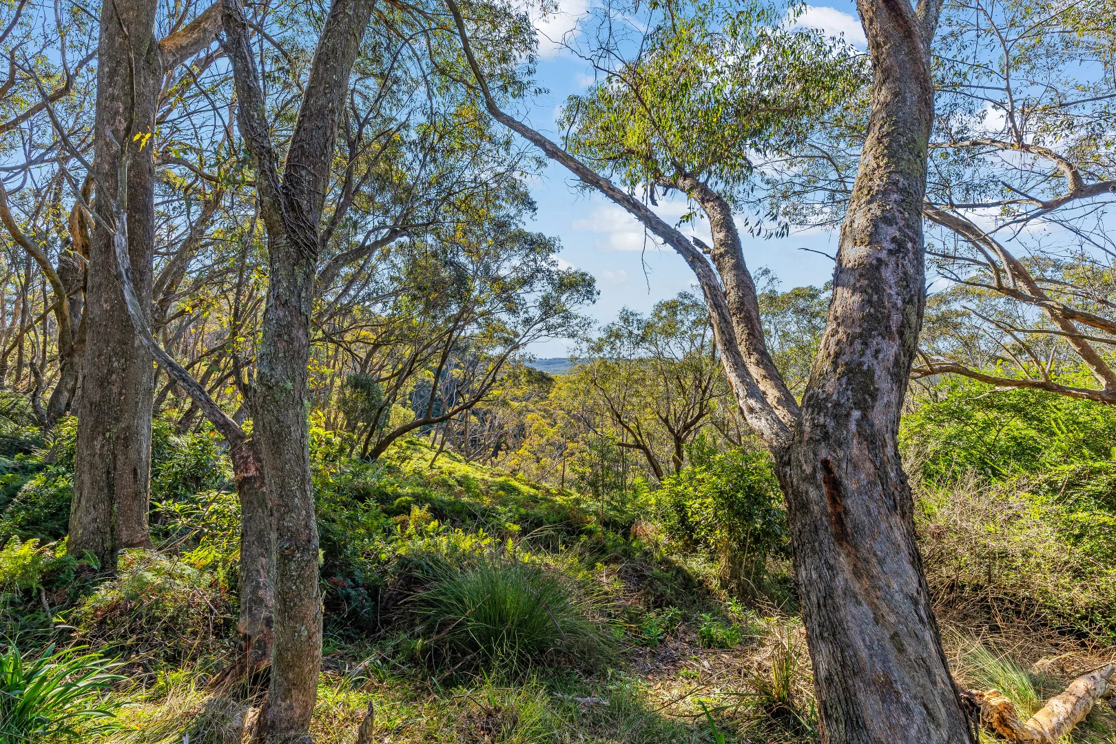 Additional image 4 of 5A Mount Hay Road, Leura NSW 2780