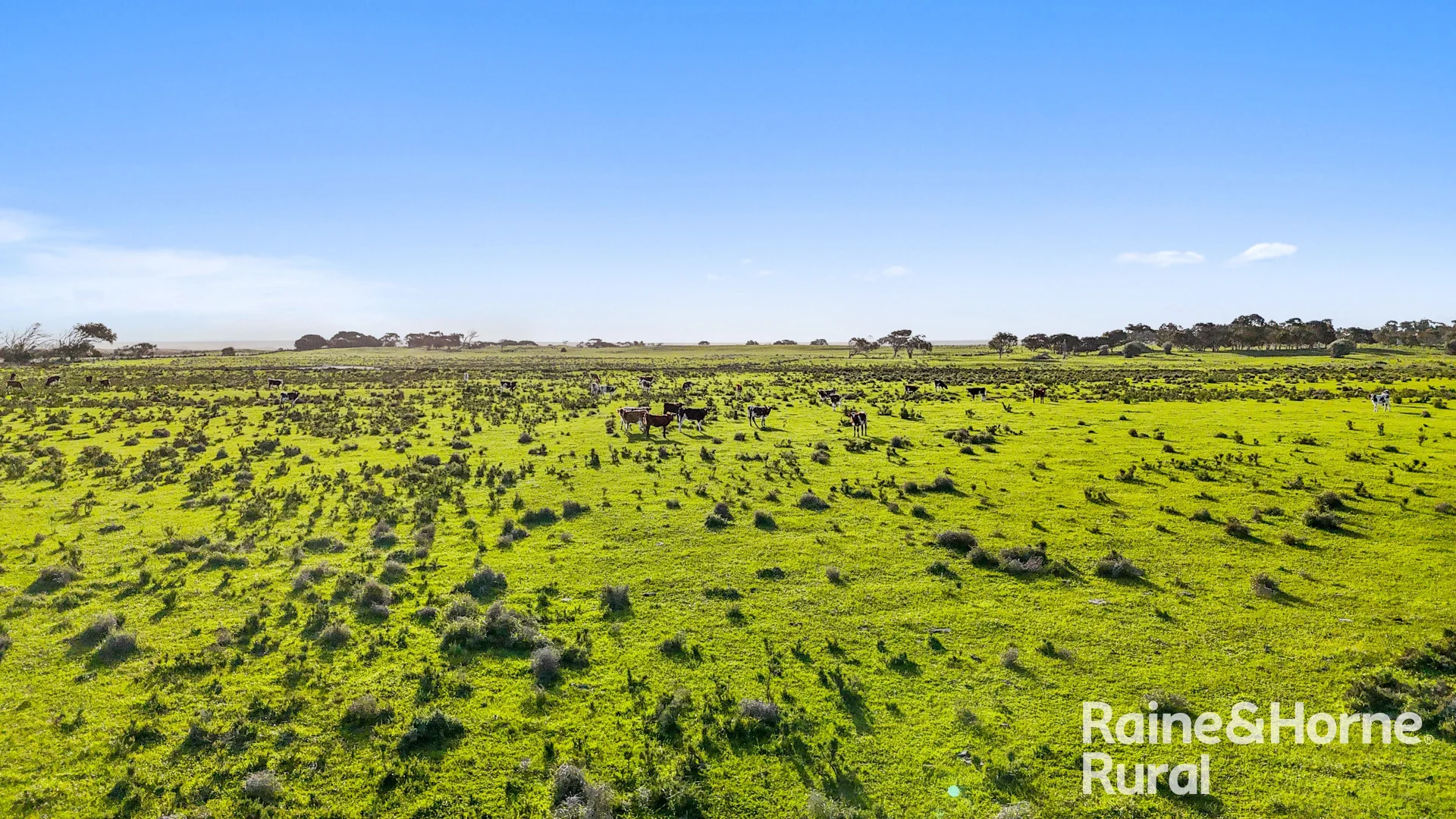 Additional image 19 of Lot 3 Flagstaff Road, Wellington SA 5259