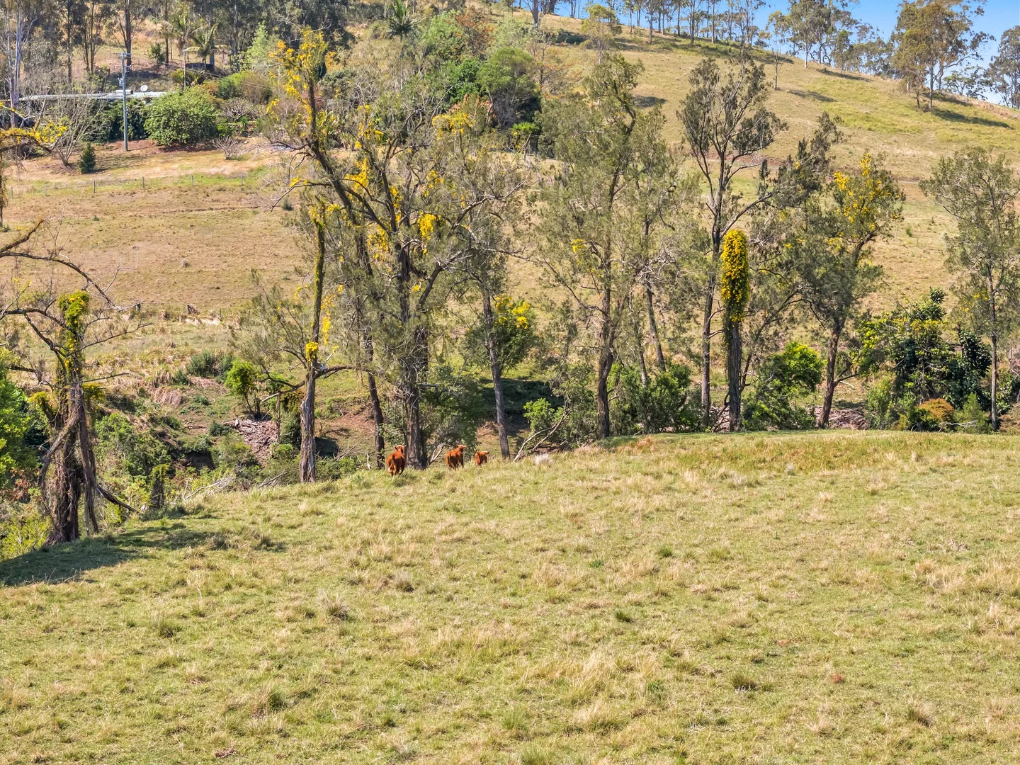 Additional image 44 of 306 Eden Creek Road, Wyneden NSW 2474