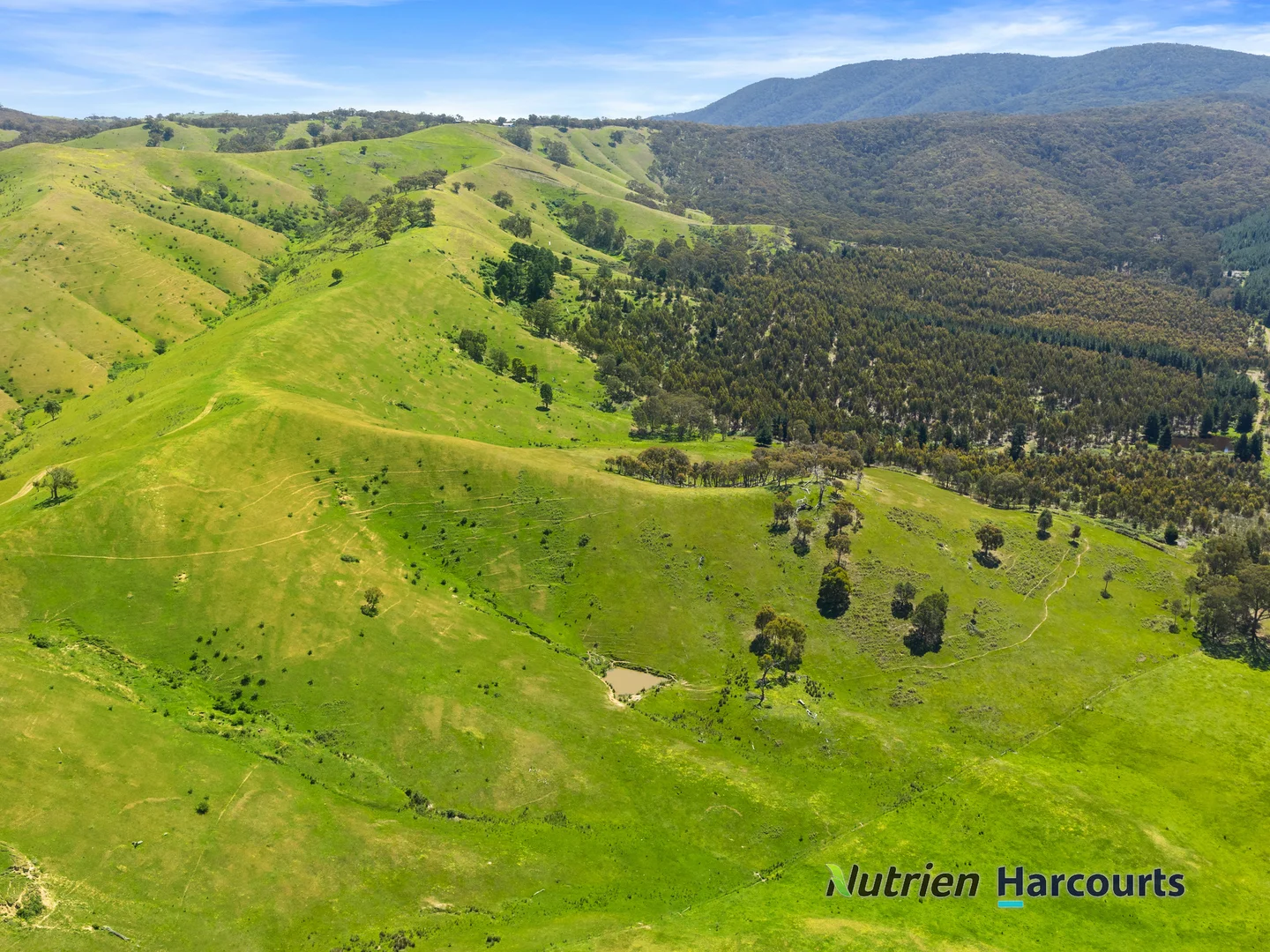 Additional image 17 of 356 Mcnallys Road, Strath Creek VIC 3658