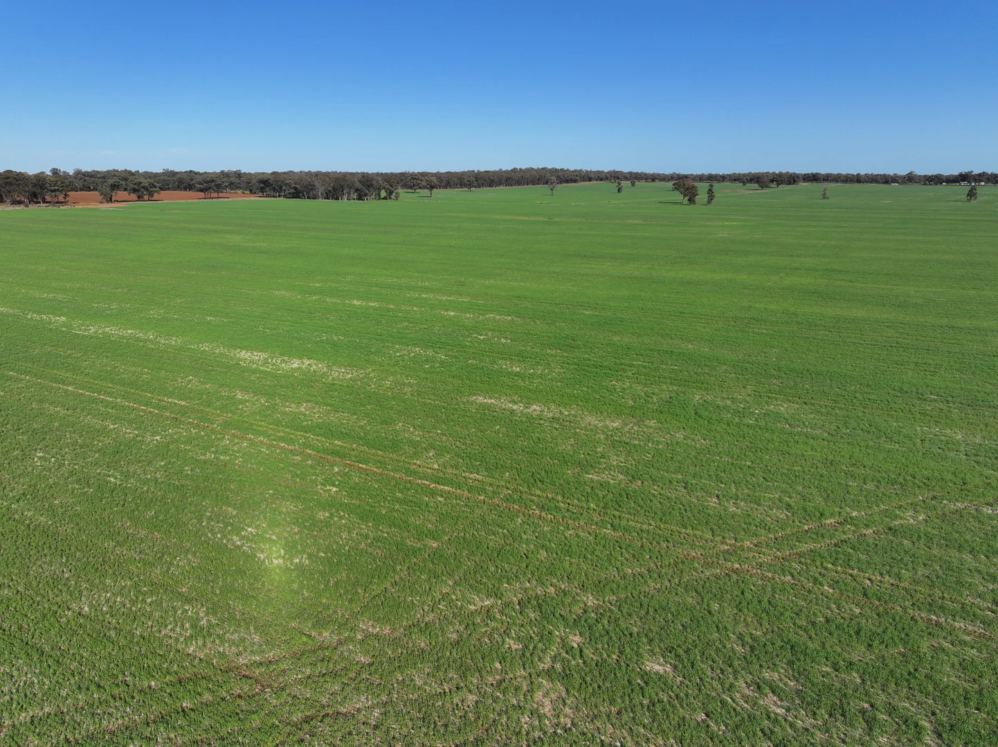 Additional image 4 of Part 'Girraween' Schmidts Lane, Quandary NSW 2665